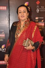 at Screen Awards red carpet in Mumbai on 12th Jan 2013 (253).JPG